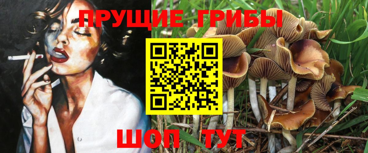 Галлюциногенные грибы ЛСД  Вход с VPN  Псилоцибиновые грибы Psilocybine cubensis  Ипатово 